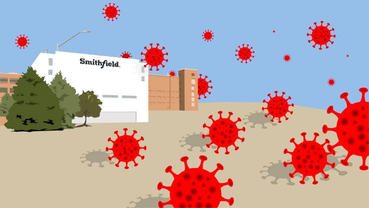 Koronavirüs: ABD\'deki en büyük salgının bilinmeyen hikâyesi