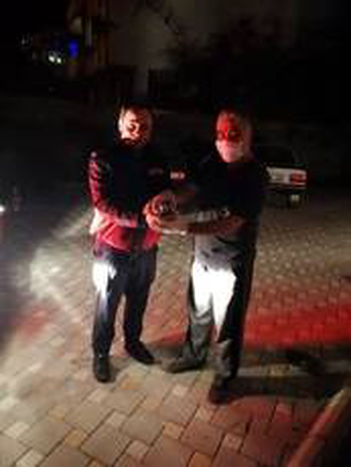 Küçük Dila\'nın dikkati, aç kalan güvercini ölümden kurtardı
