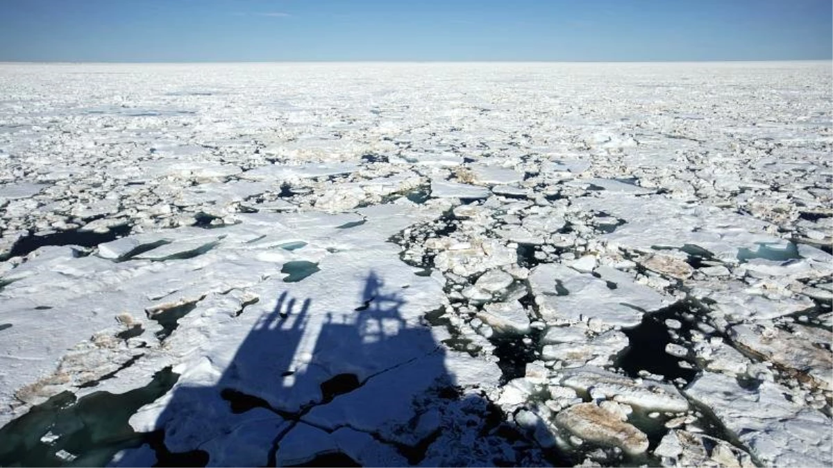 Kuzey Buz Denizi\'nde 2050\'ye kadar yaz mevsiminde buzullar yok olabilir
