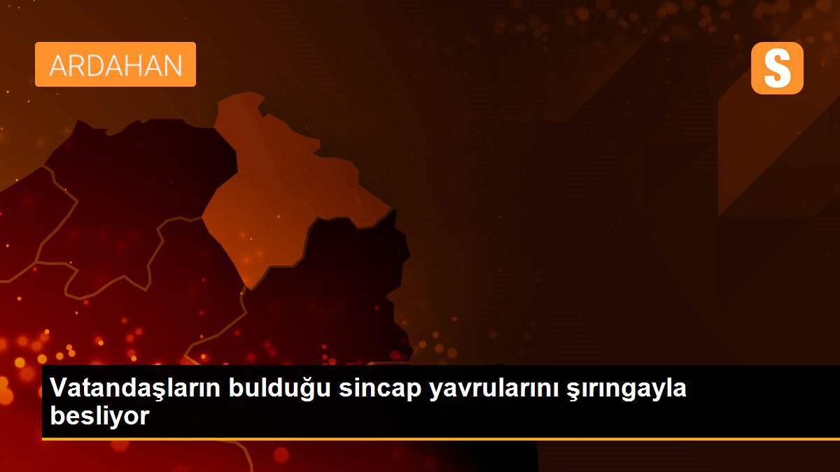 Vatandaşların bulduğu sincap yavrularını şırıngayla besliyor