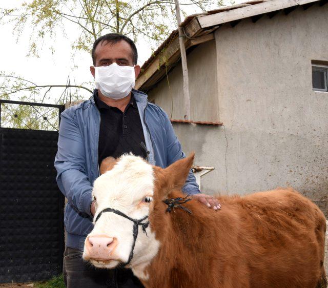 Afyonlu besiciler Milli Dayanışma Kampanyası'na büyükbaş hayvanlarını bağışladı