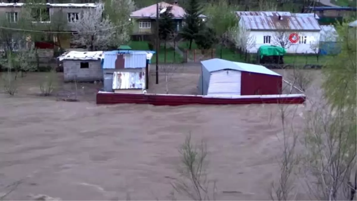 Aşırı yağışlar nedeniyle Habur çayı taştı...Çay kenarındaki tarla ve ahırlar sular altında kaldı