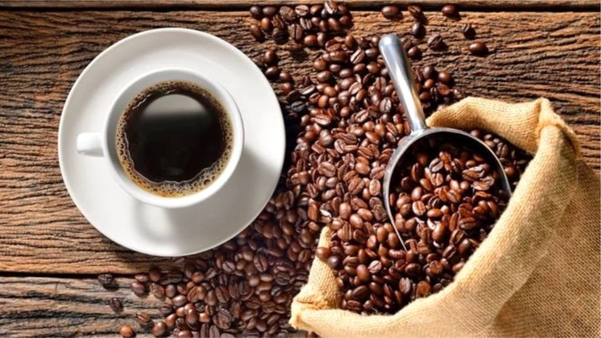 508 bin kişiyle yapılan araştırma: \'Filtre kahve ömrü uzatıyor, Türk kahvesi kalp hastalığı riskini...