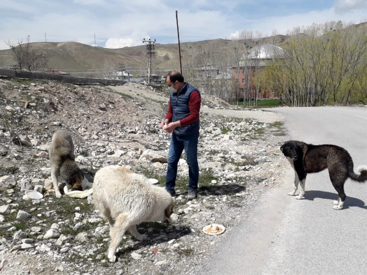 Kur\'an kursu öğreticisinden sokak hayvanlarına destek