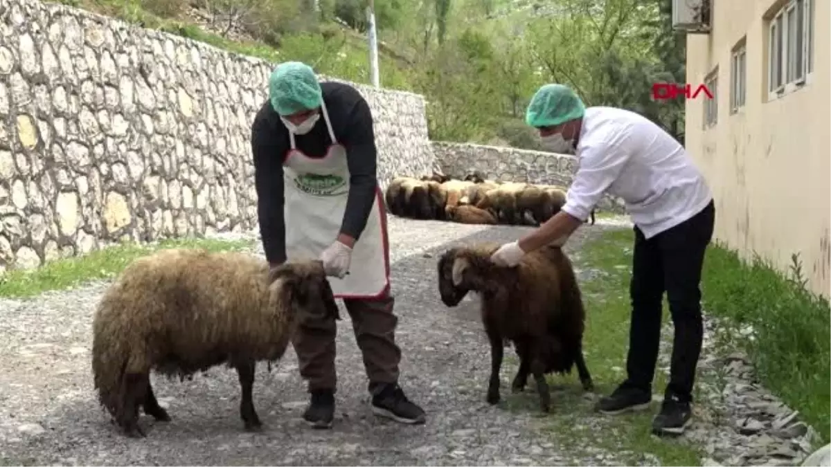 Şırnak\'ta ihtiyaç sahiplerine ramazanda 8 ton et dağıtılacak