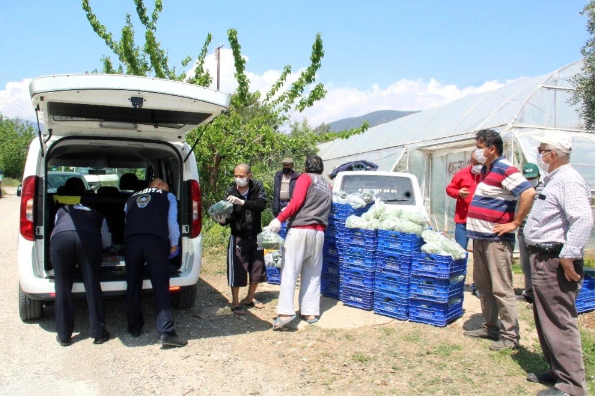 400 kilo sebzeyi yardıma muhtaç ailelere bağışladı