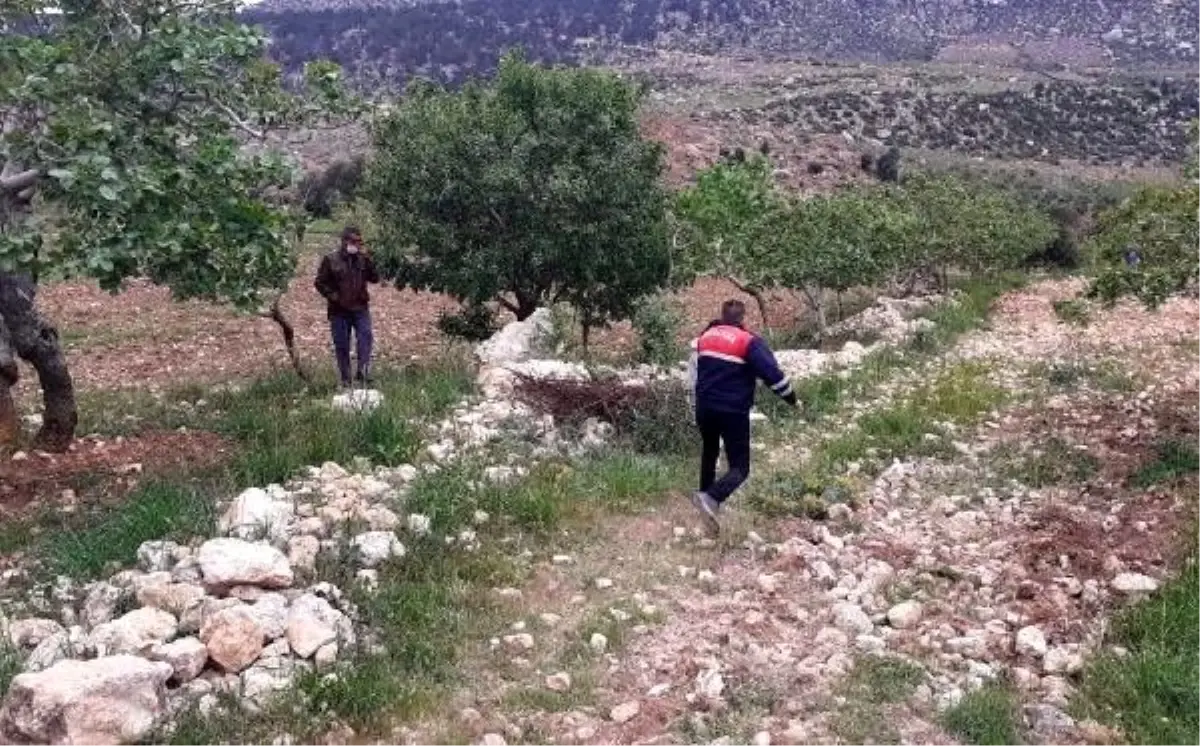 Kayıp kız, babaannesinin ilaçlarını içince arazide uyuyakalmış