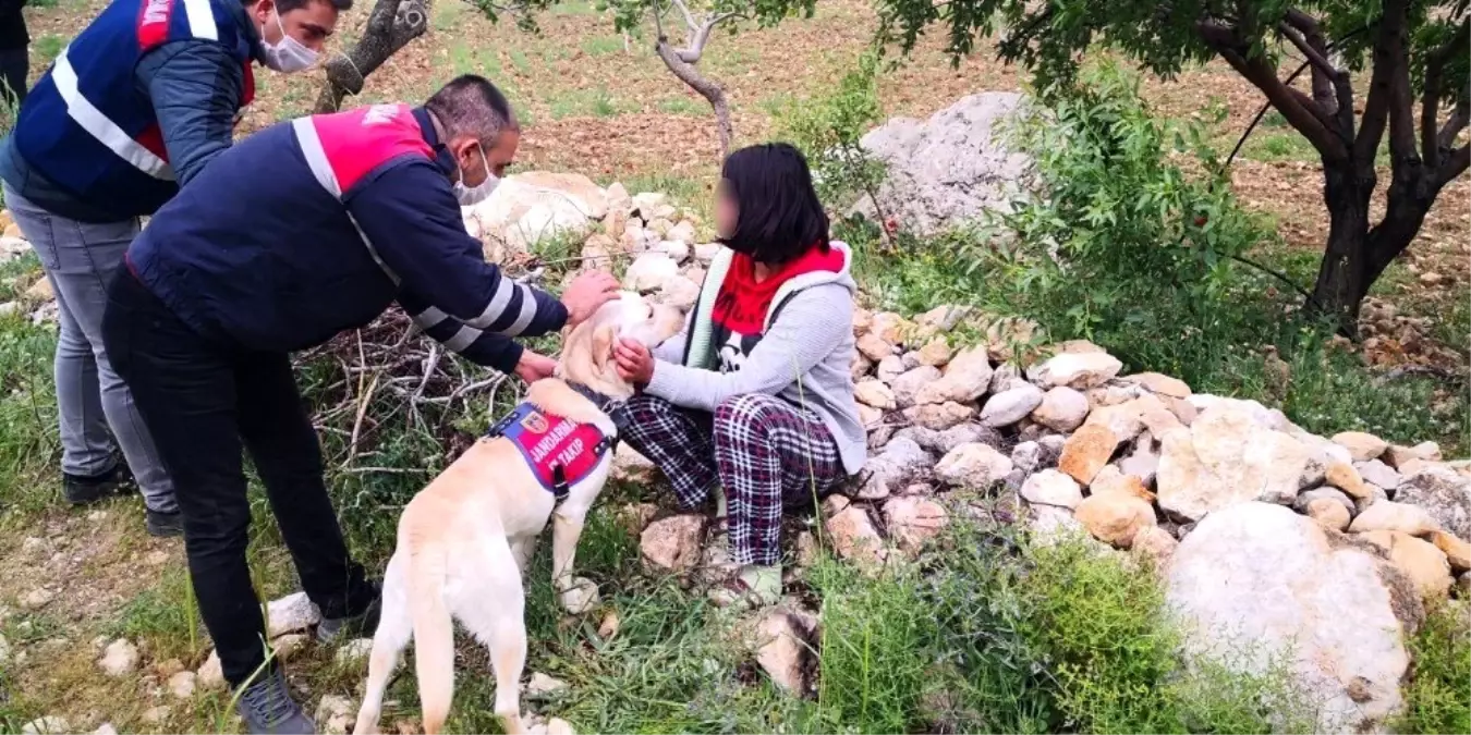 Kayıp kız çocuğu ormanlık alanda bulundu