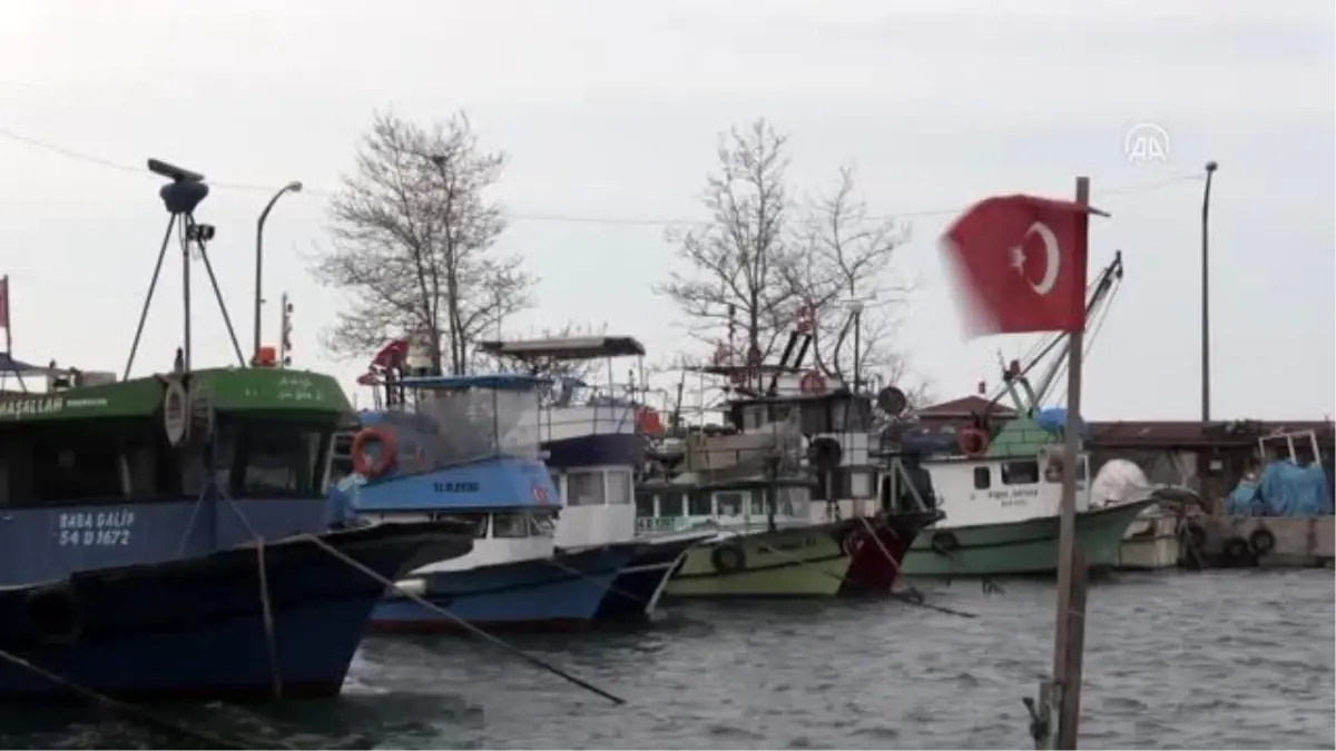 Tezgahlarda balık fiyatları ucuzladı