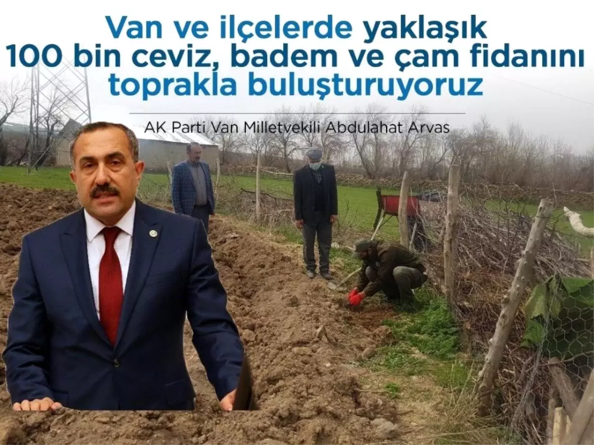 Van Milletvekili Arvas: "Yaklaşık 100 bin fidanı toprakla buluşturuyoruz"