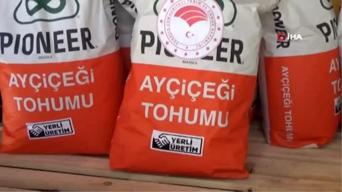 Yüzde 75 hibeli tohumlar dağıtılıyor