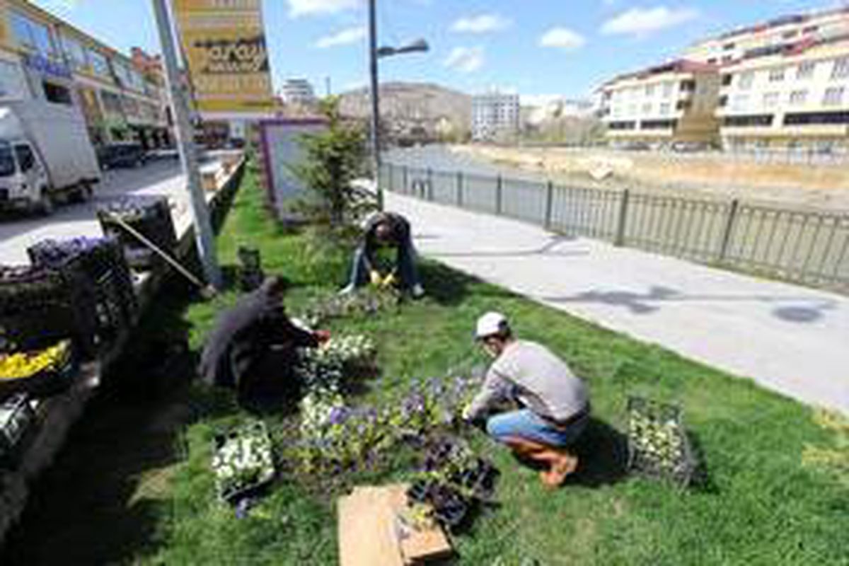 Bayburt\'ta park ve bahçelere 50 bin çiçek dikildi