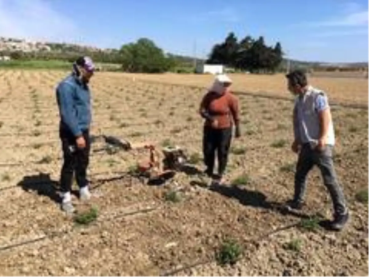 Çeşmeli üretici kısıtlama günlerinde de üretimde