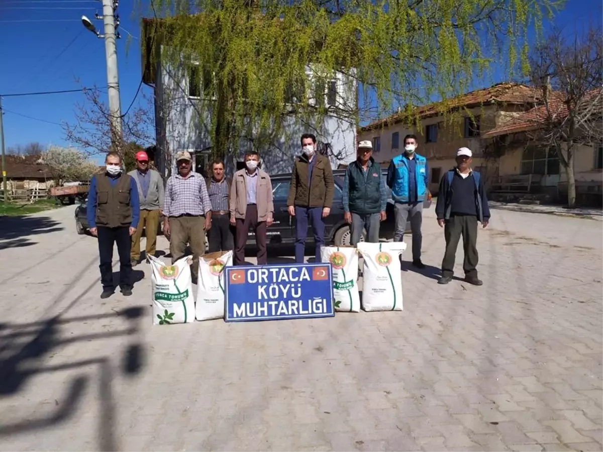 Üreticiye "Yonca" tohumu dağıtıldı