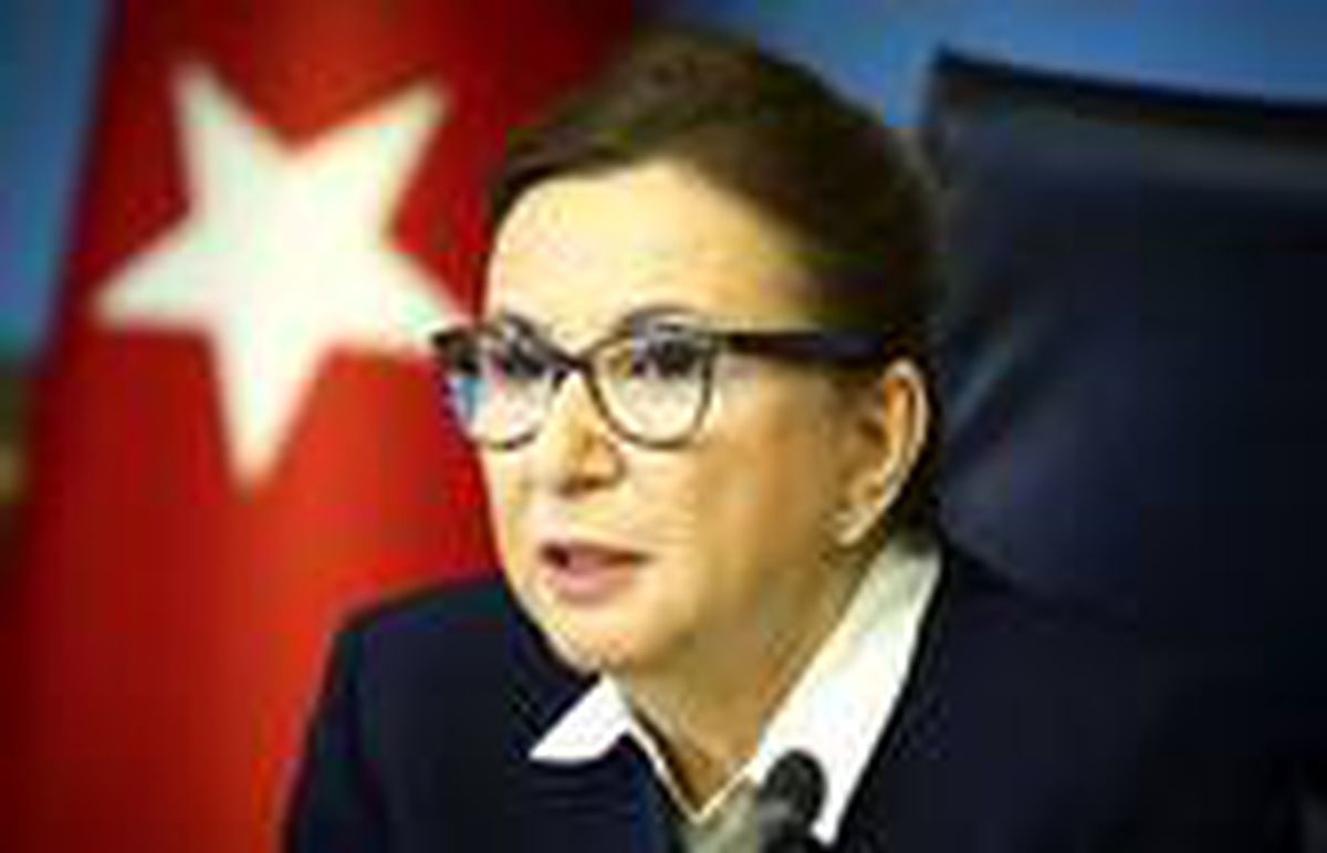 Bakan Pekcan, temassız ticaretle TIR ve vagon geçişlerini açıkladı