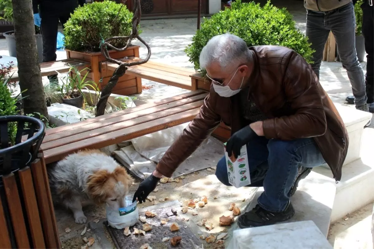 Emniyet müdürü aç kalan köpekleri elleriyle besledi