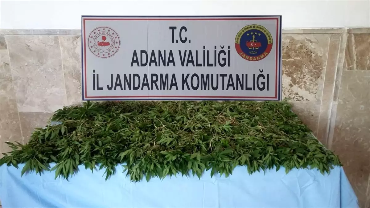 Adana\'da uyuşturucu operasyonu