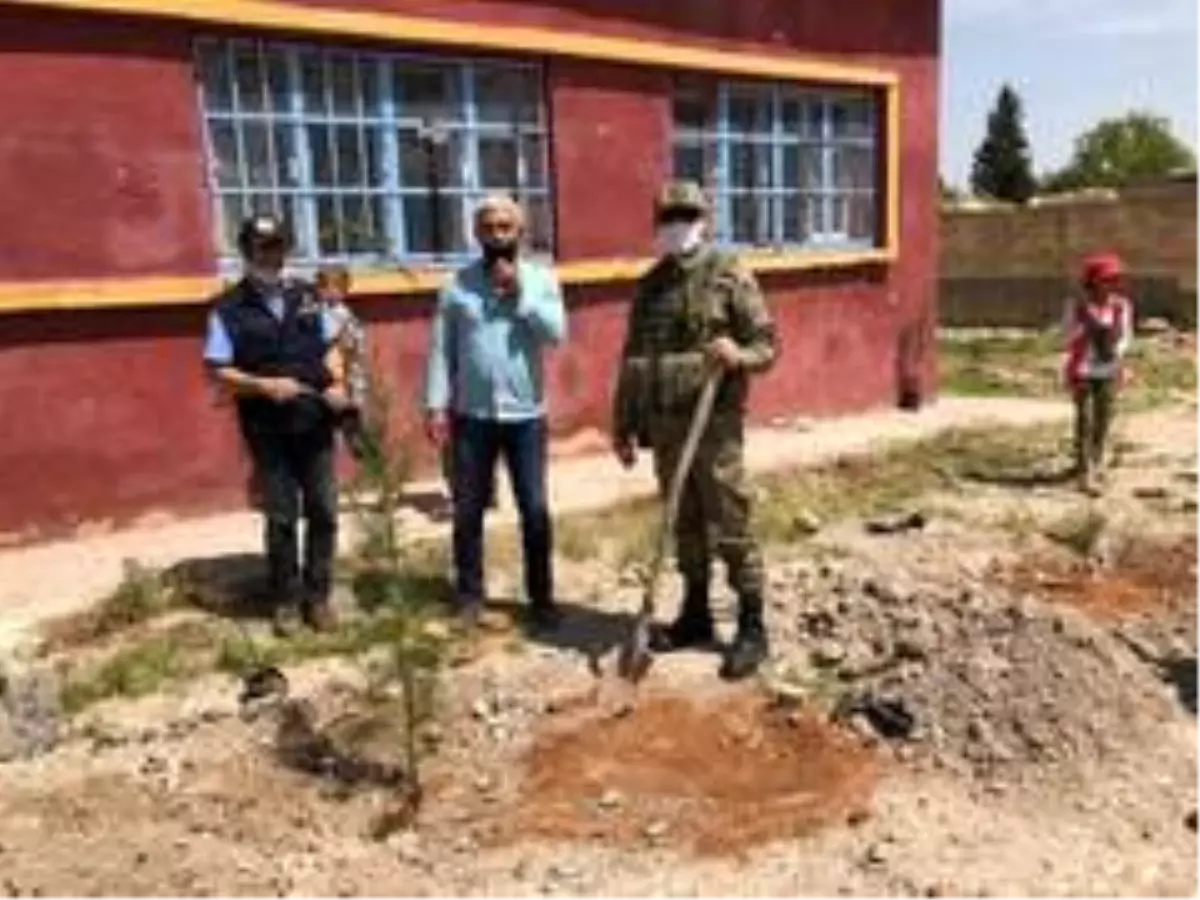 Barış Pınarı bölgesinde içme suyu ve ağaçlandırma faaliyetleri sürüyor