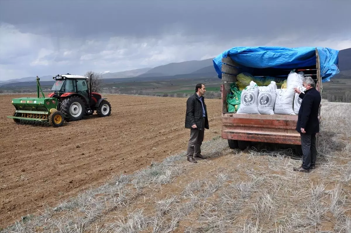 Gümüşhane\'de üreticilere 160 ton yem bitkisi tohumu dağıtıldı