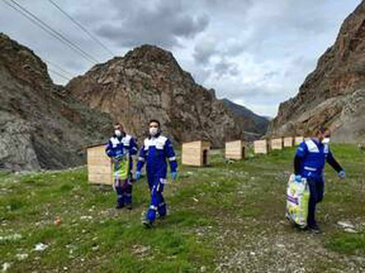 Hakkari\'de sokak hayvanları için barınaklara yiyecek bırakıldı