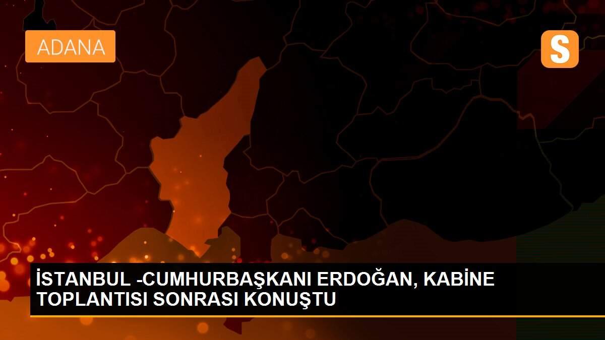 İSTANBUL -CUMHURBAŞKANI ERDOĞAN, KABİNE TOPLANTISI SONRASI KONUŞTU