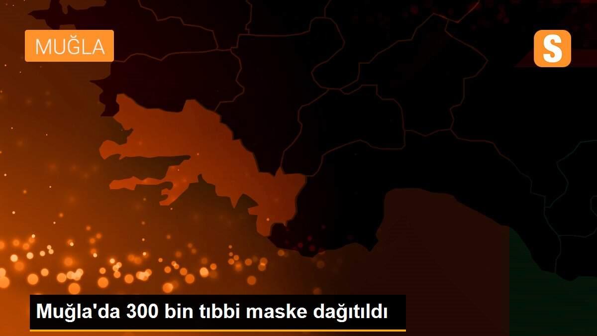 Muğla\'da 300 bin tıbbi maske dağıtıldı