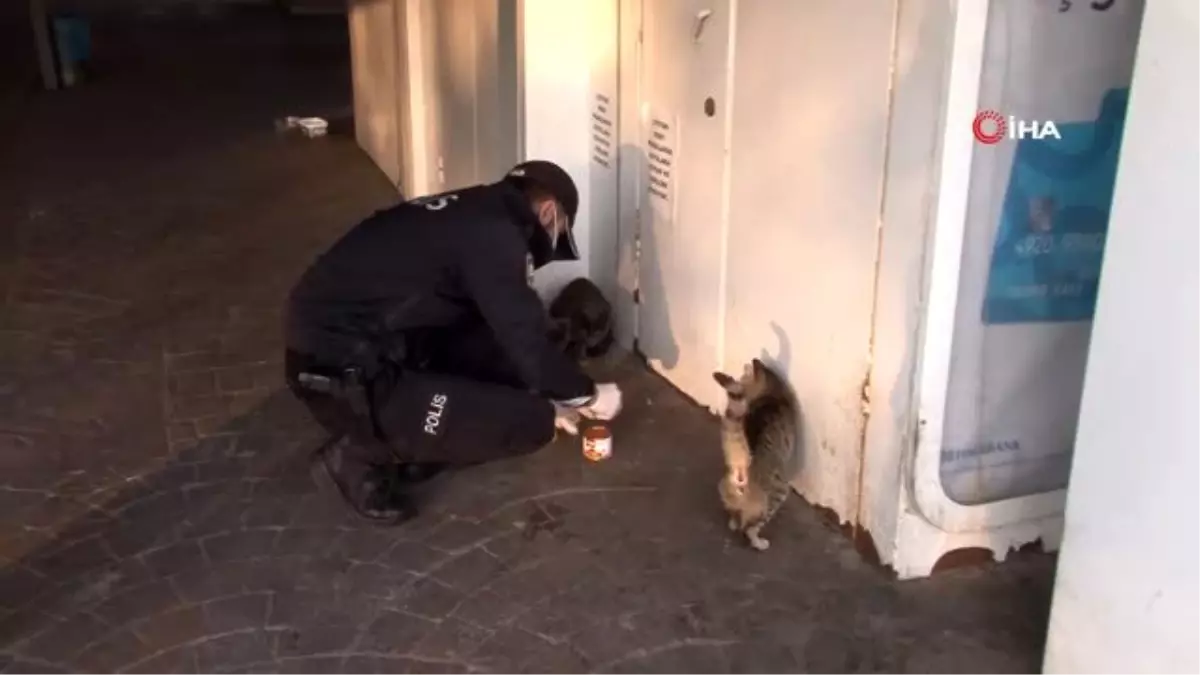 Polis memuru iftarlık yemeğini sokak kedileri ile paylaştı