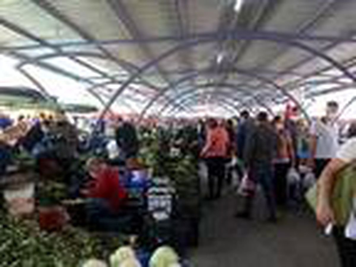 Foça\'da havaların ısınmasıyla sokaklar hareketlendi