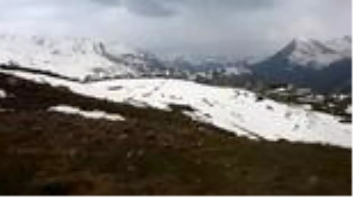 Hakkari dağlarının eteklerinde bahar yüksek kesimlerinde kış yaşanıyor