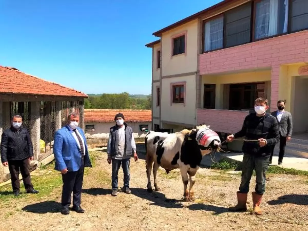 Salgın nedeniyle mevlit yapamayınca hayvanı satıp parasını kampanyaya bağışladı