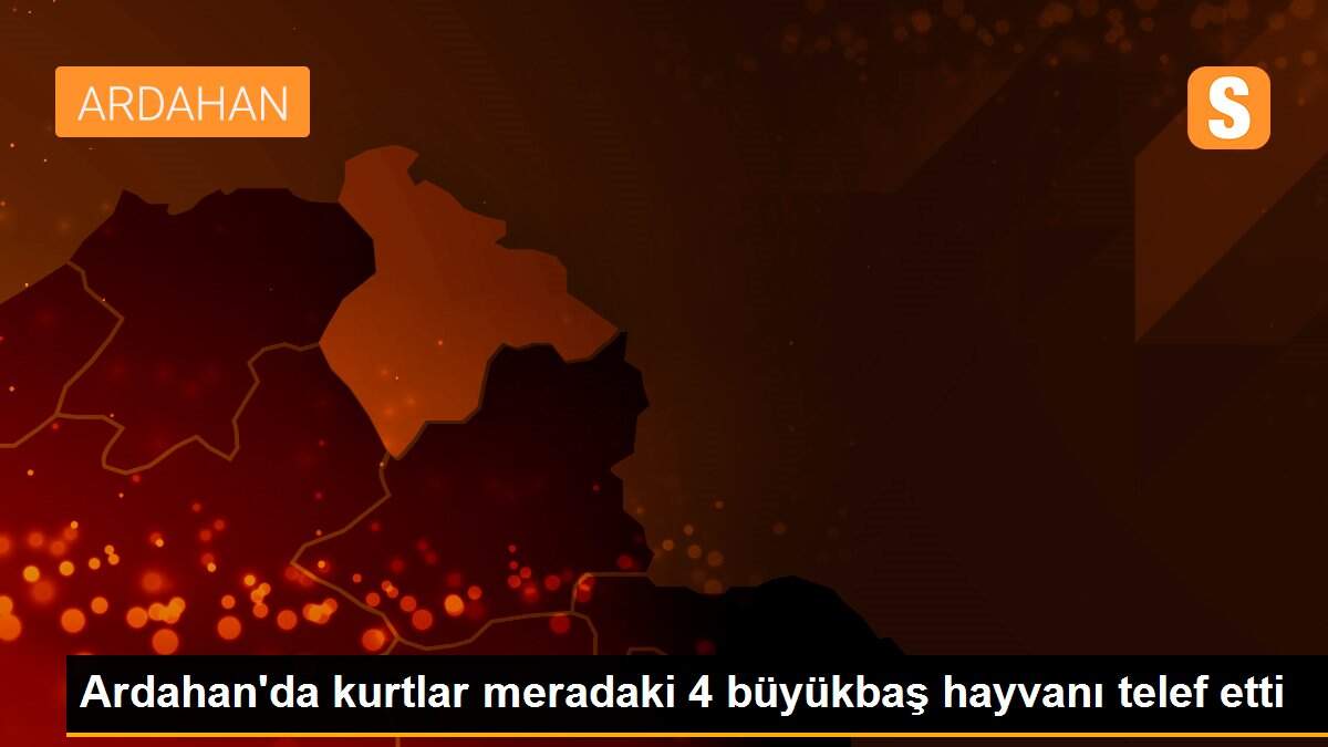 Ardahan\'da kurtlar meradaki 4 büyükbaş hayvanı telef etti