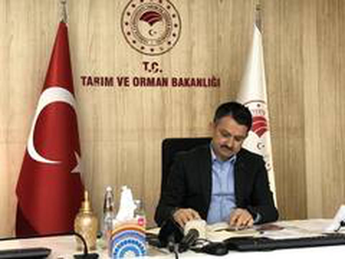 Bakan Pakdemirli: "Daha fazla destek verebilir miyiz konusunda çalıyoruz"