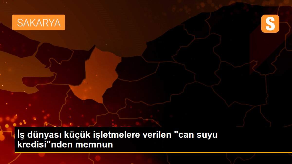 İş dünyası küçük işletmelere verilen "can suyu kredisi"nden memnun