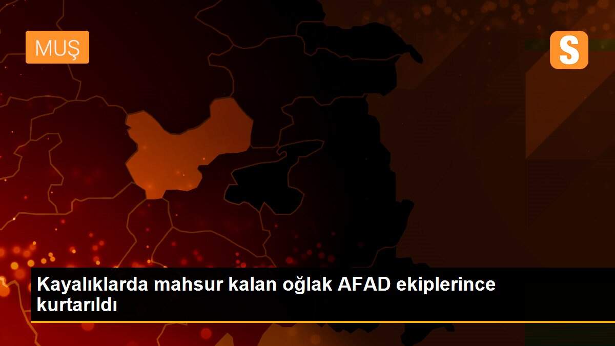 Kayalıklarda mahsur kalan oğlak AFAD ekiplerince kurtarıldı
