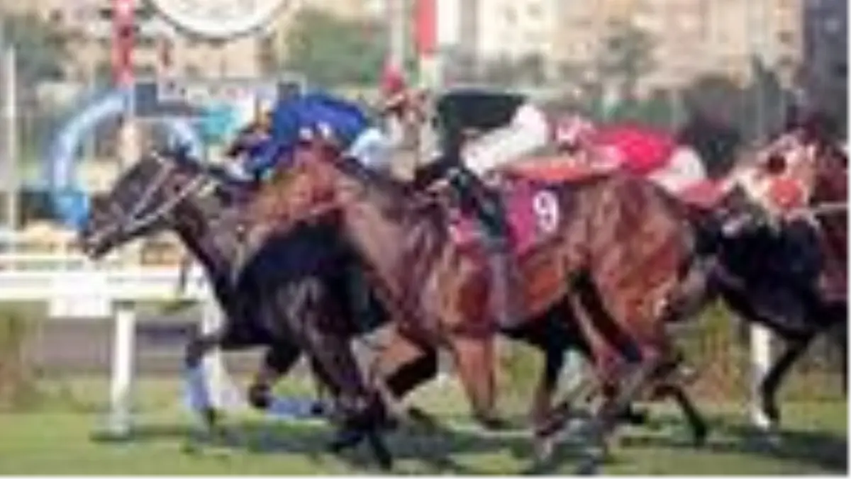 TJK, Ankara çıkarması yaptı