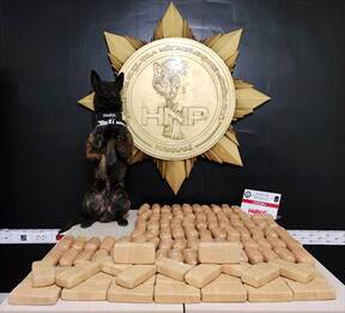 Hakkari\'de 62 kilogram eroin ele geçirildi