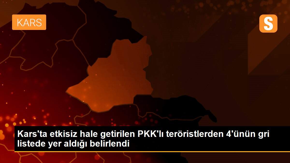 Kars\'ta etkisiz hale getirilen PKK\'lı teröristlerden 4\'ünün gri listede yer aldığı belirlendi