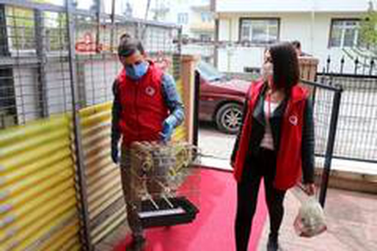 (ÖZEL) Sokağa çıkma yasağı olan yaşlı adam yalnızlığını muhabbet kuşlarıyla giderecek