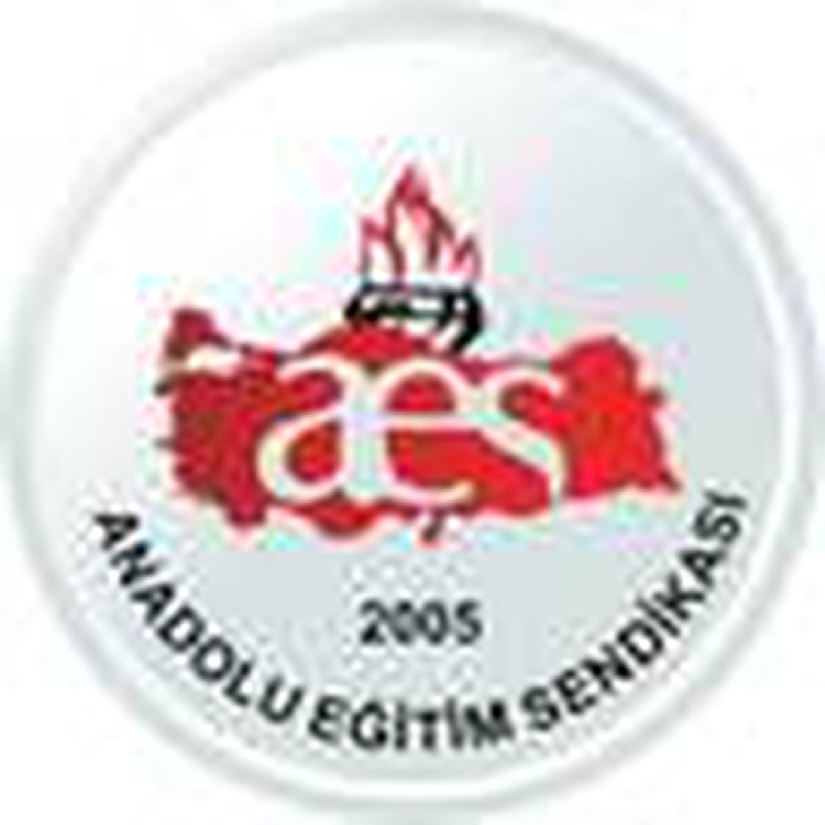 Anadolu Eğitim Sen Kırşehir Temsilciliği kuruldu