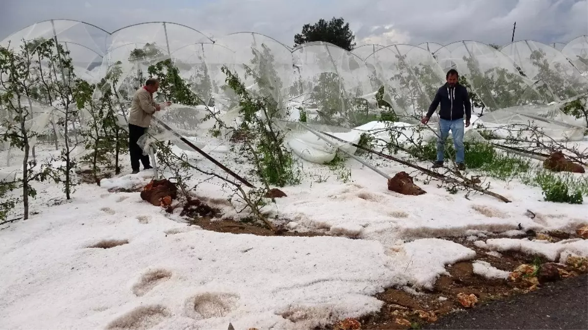 Mersin\'de 1 saat yağan dolu tarlalara zarar verdi