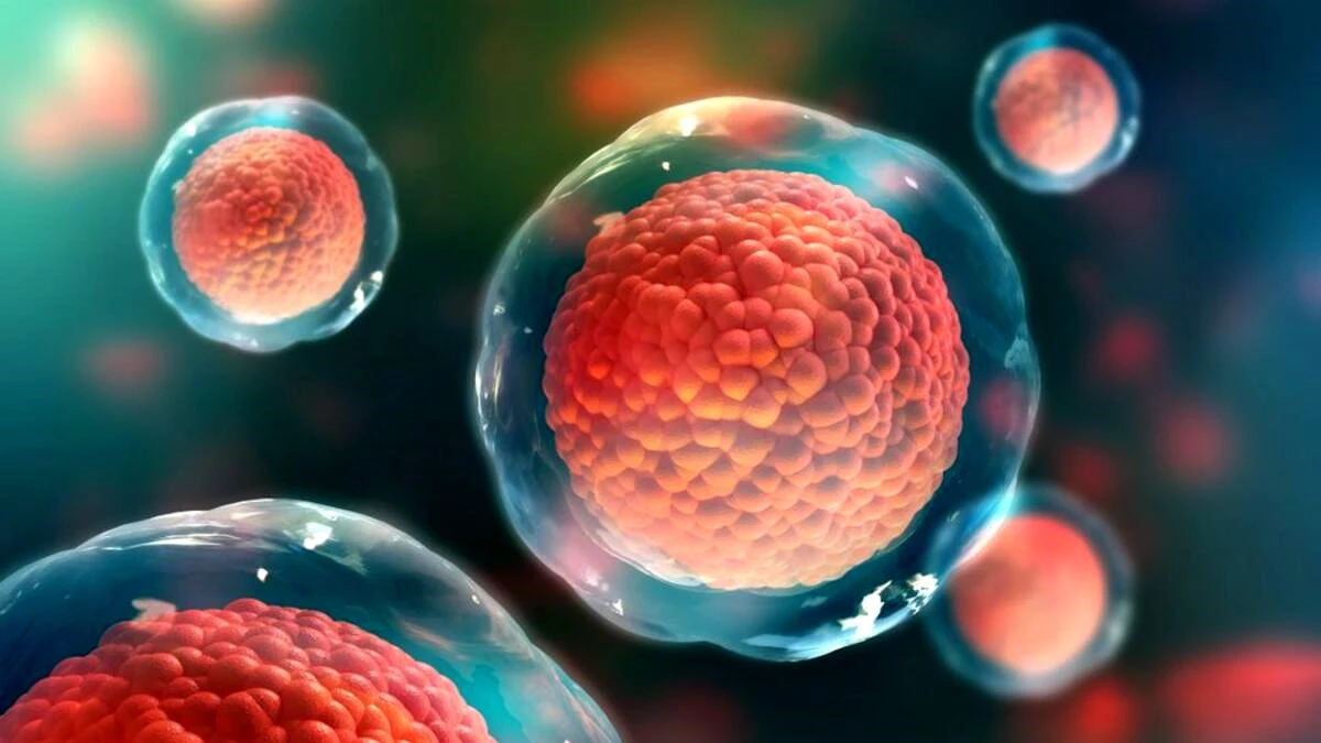 Türk Bilim İnsanları Aşı Çalışmaları için 3 Yeni Hücre Geliştirdi