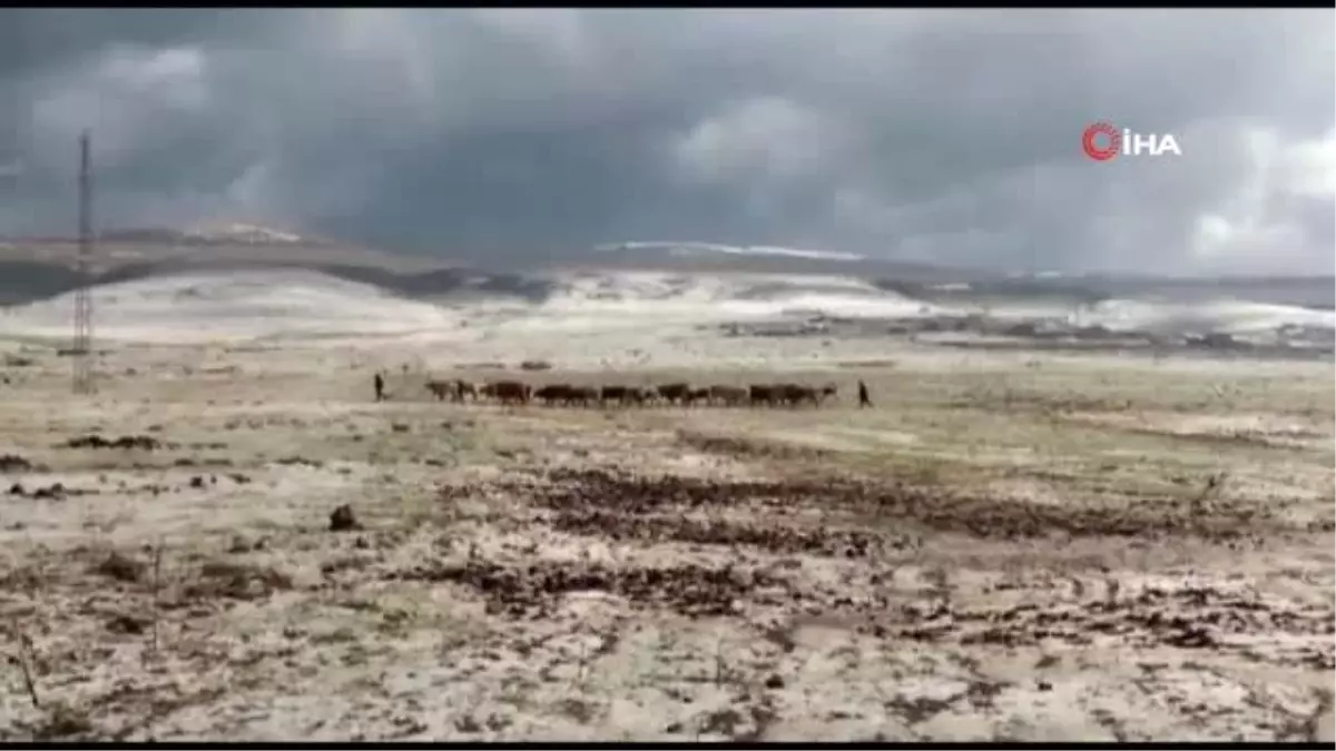 Ardahan\'da dolu ekili alanlara zarar verdi... Gökkuşağı görsel şölen oluşturdu