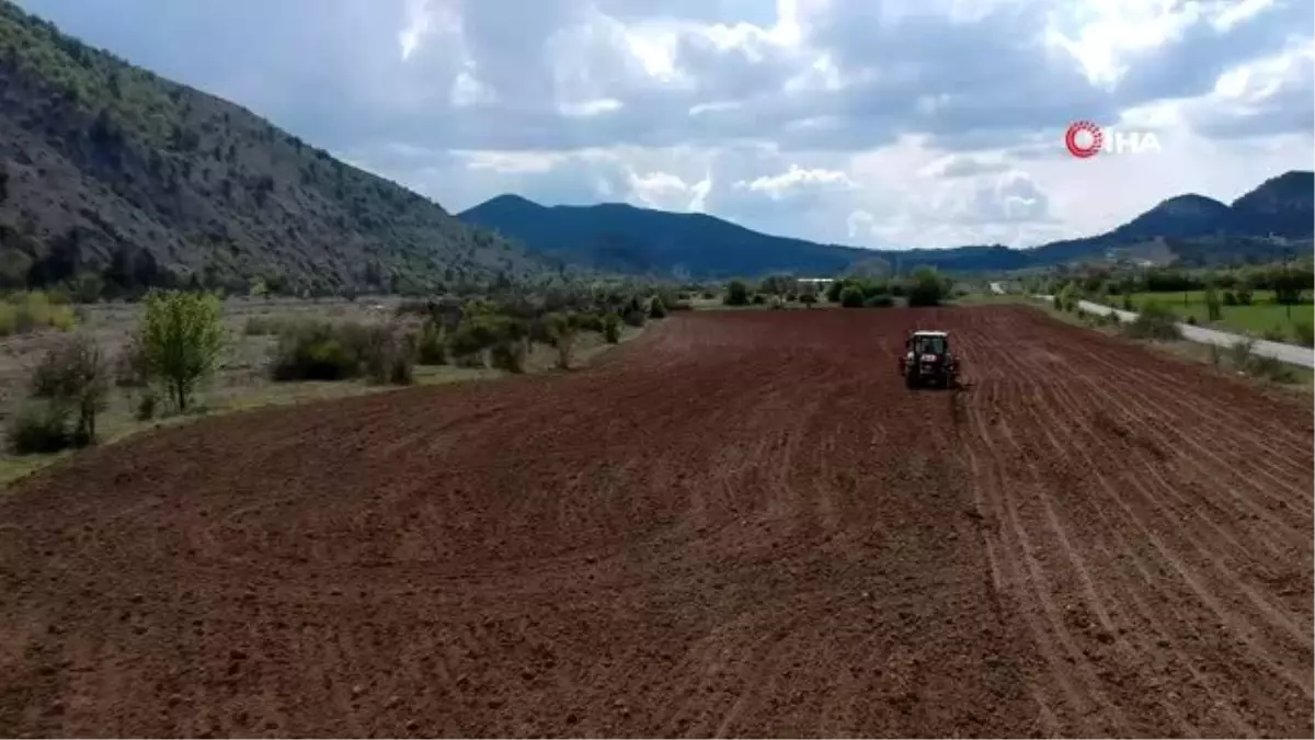 Çiftçiler korona virüse rağmen üretimi sürdürüyor