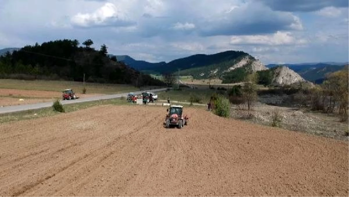 Karabük\'te çiftçiler koronavirüse rağmen tohumu toprakla buluşturdu