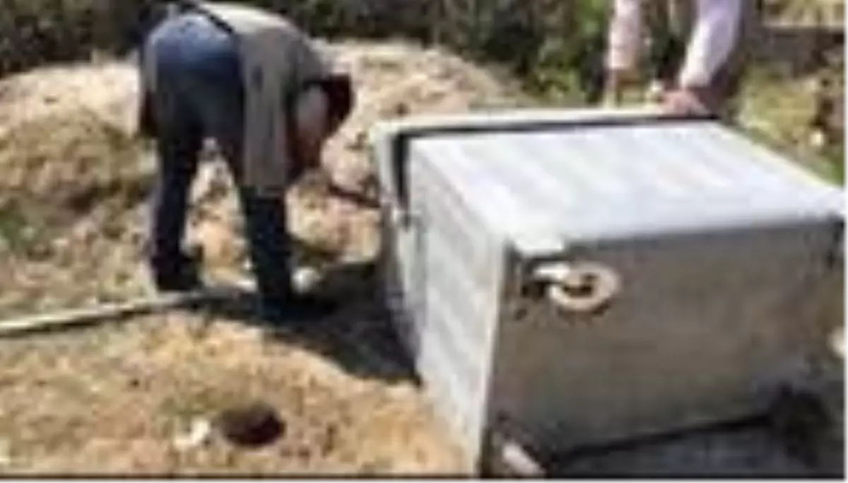 Kirpi ve 2 yavrusunu poşete koyup çöpe attılar