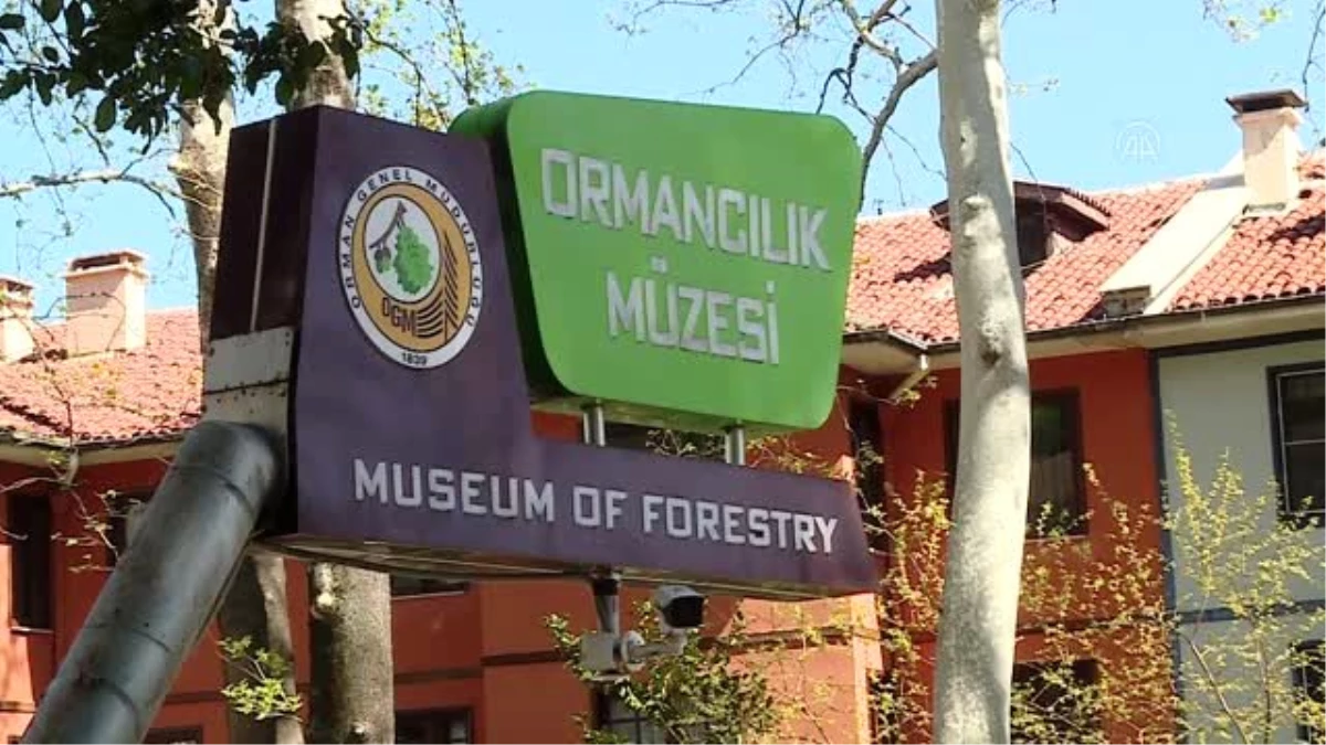 Ormancılık müzesine ev sahipliği yapan tarihi köşk restore edilecek