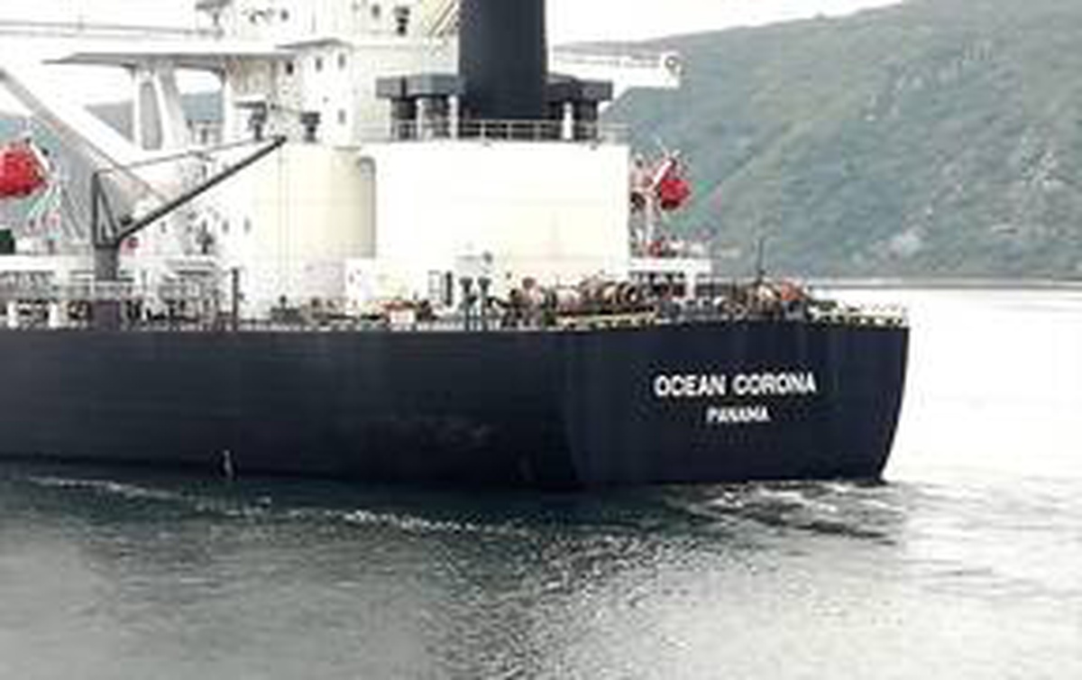 Panama bandıralı "Ocean Corona" İstanbul Boğazı geçişini tamamladı