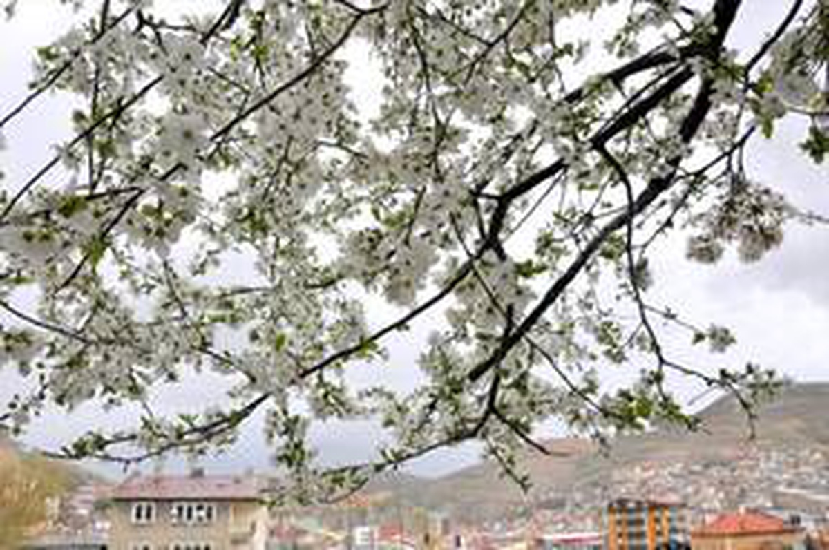 Bayburt\'ta ilkbaharla birlikte doğa canlandı