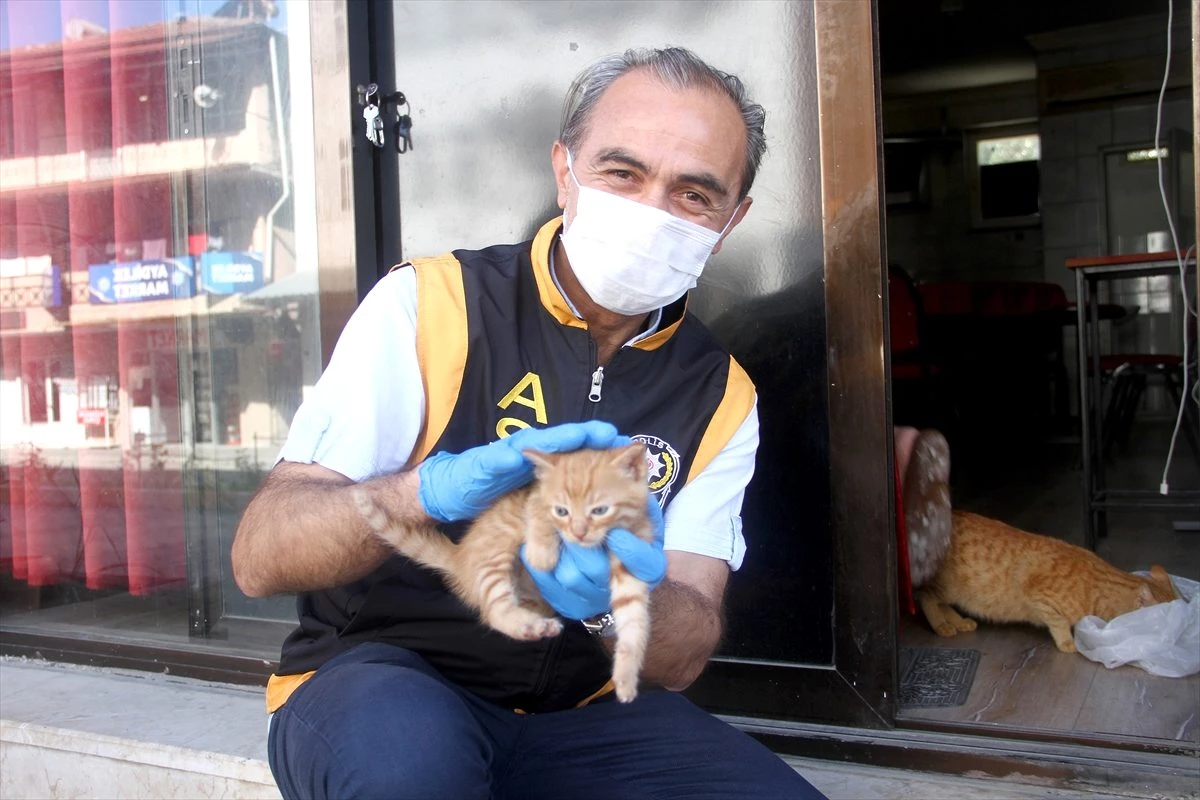 Fethiye\'de kahvehanede mahsur kalan kedi ve yavrularını polis kurtardı