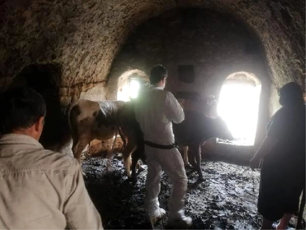 Mardin\'de yıldırım düştü; hayvan otlatan Ramazan öldü, kardeşi ağır yaralı